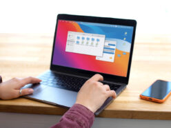 {{brizy_dc_image_alt entityId=